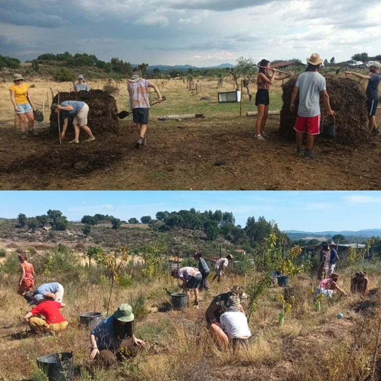 A different practical class every day, such as composting and food forest management above
