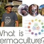 What is Permaculture