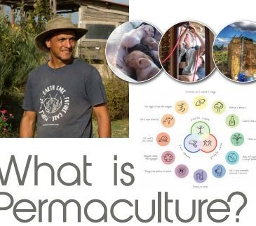 What is Permaculture