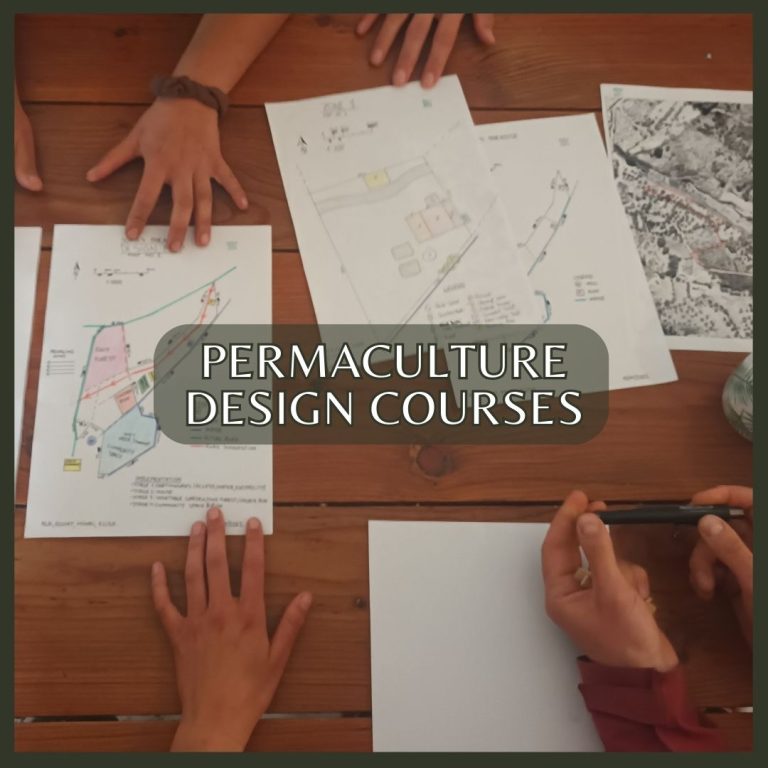 Permaculture Design Course