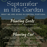 September in the veg garden portugal