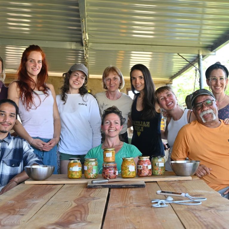 Food Fermentation workshop