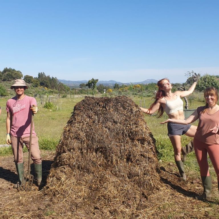 Composting, worm farms and organic fertalisers