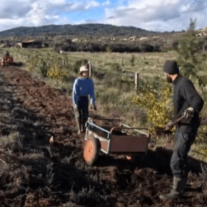 Composting