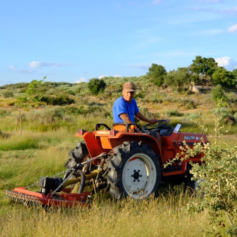 Land restoration