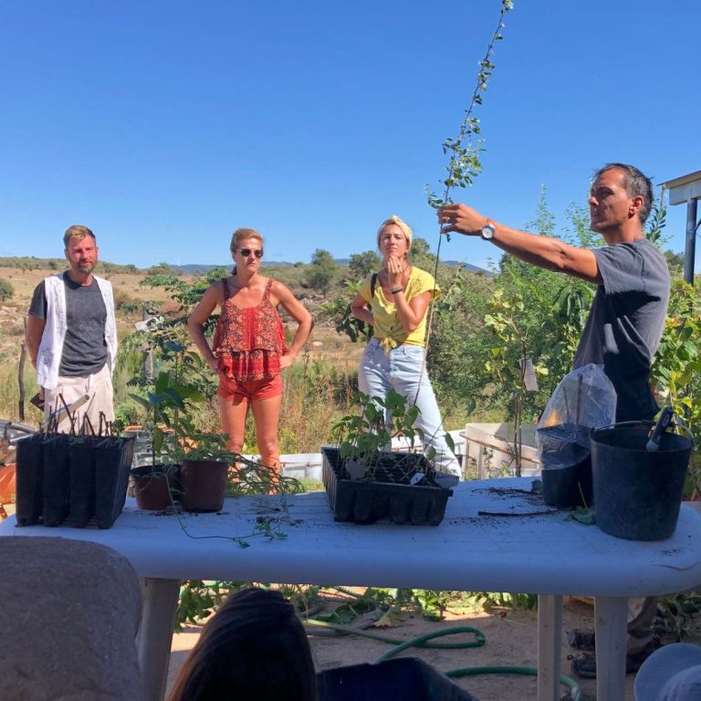 Propagation and tree nurseries