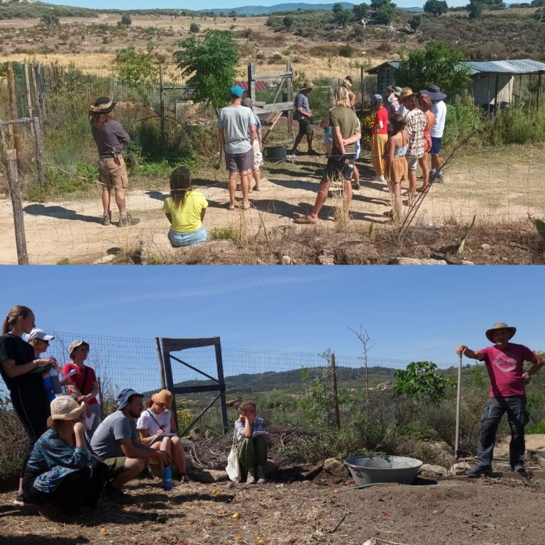 Tours of permaculture systems