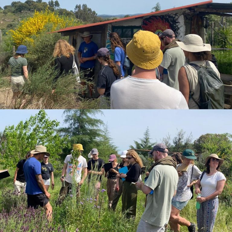 Education at the farm