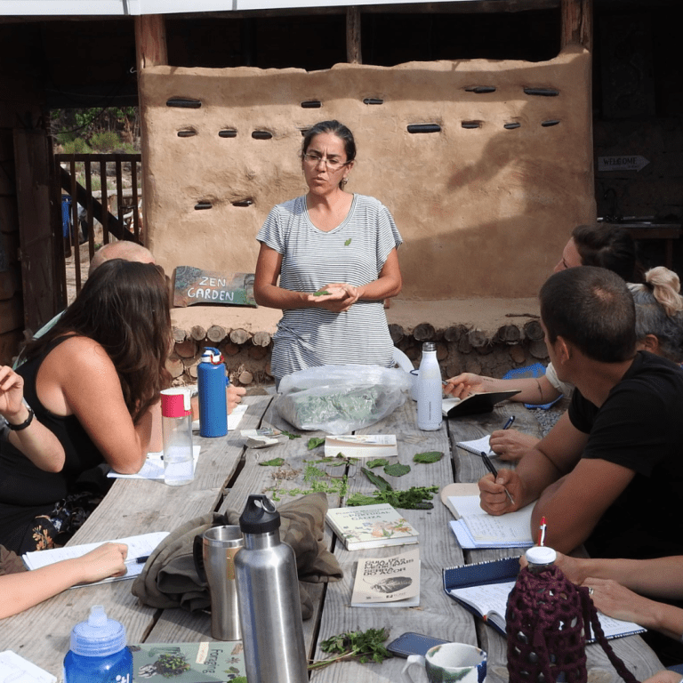Talk on wild green foraging