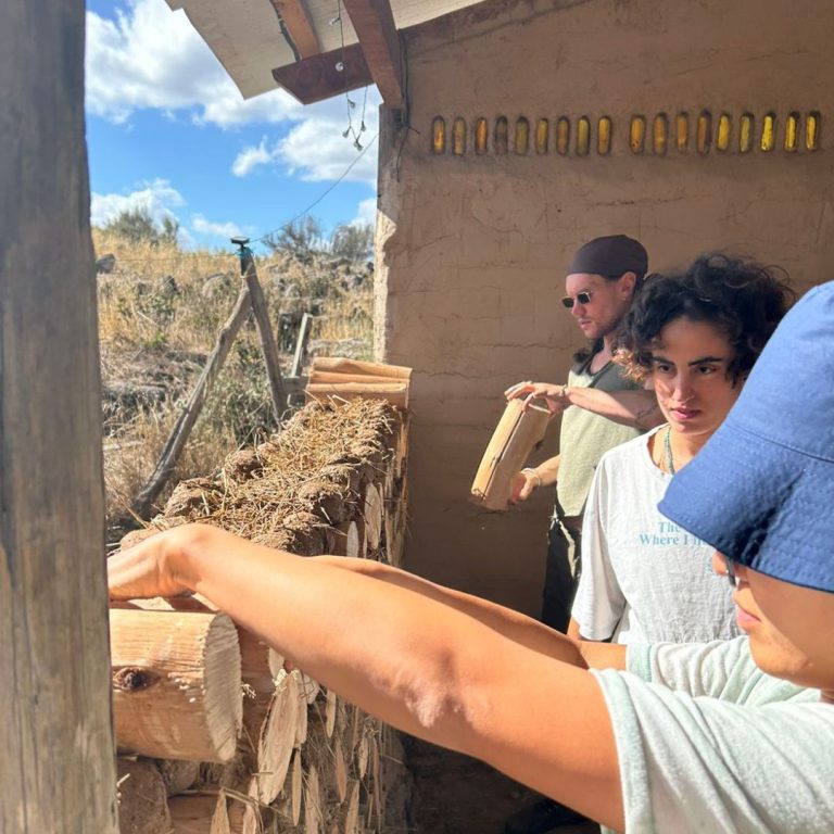 Natural Building - Cordwood in the garage