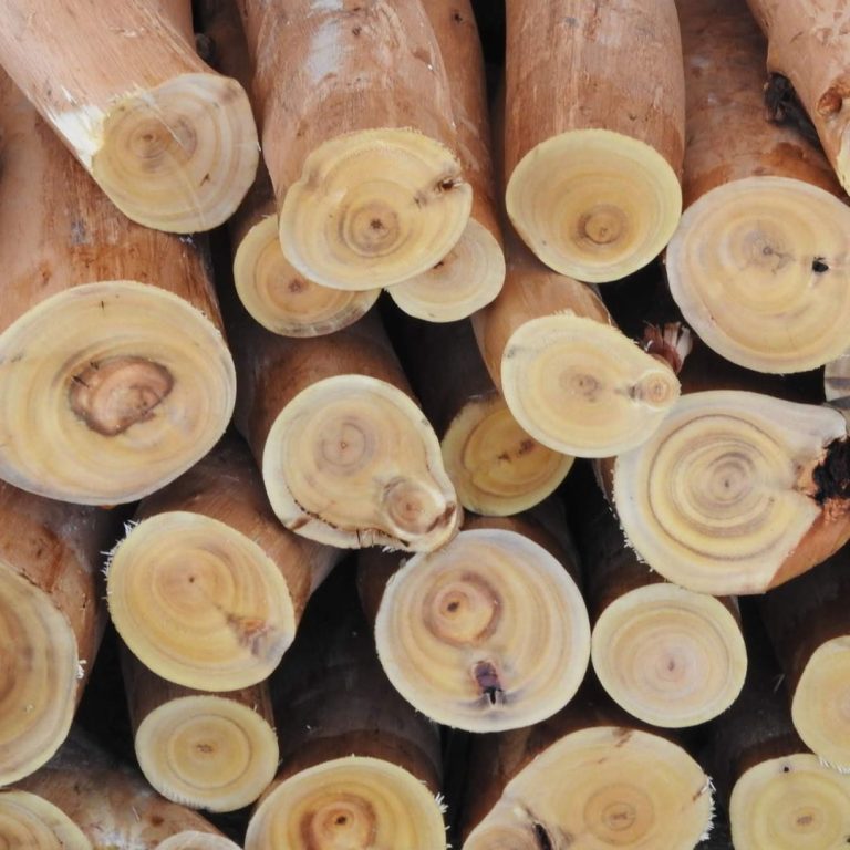 Natural Building - Cordwood ready for building with
