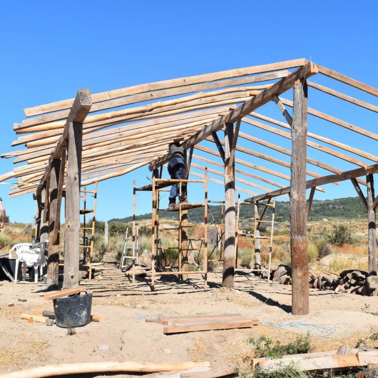 Natural Building - Handmade wooded barn with recycled materials and timber from the land