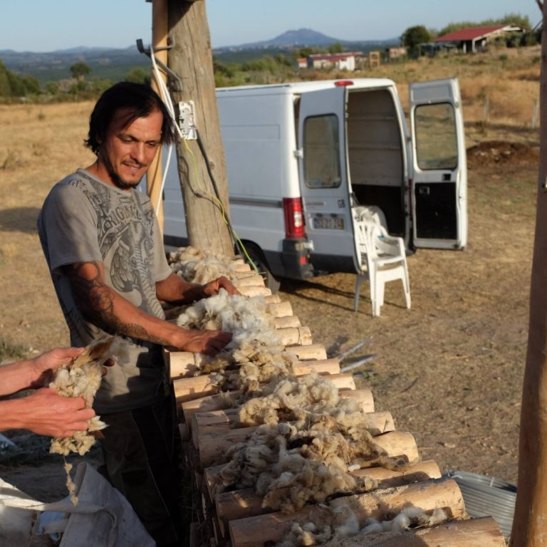 Natural Building - Sheep wool insulation in the cordwood wall (2)