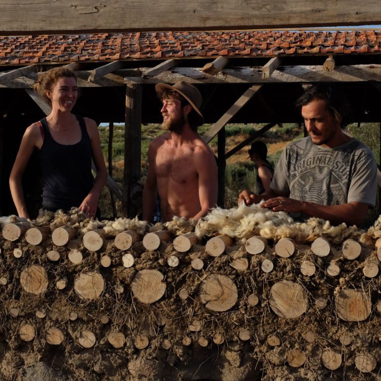 Natural Building - Sheep wool insulation in the cordwood wall