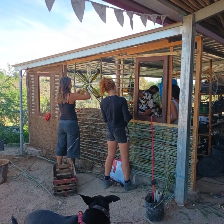 Natural Building - Wattle and daub wall wind break for outside area