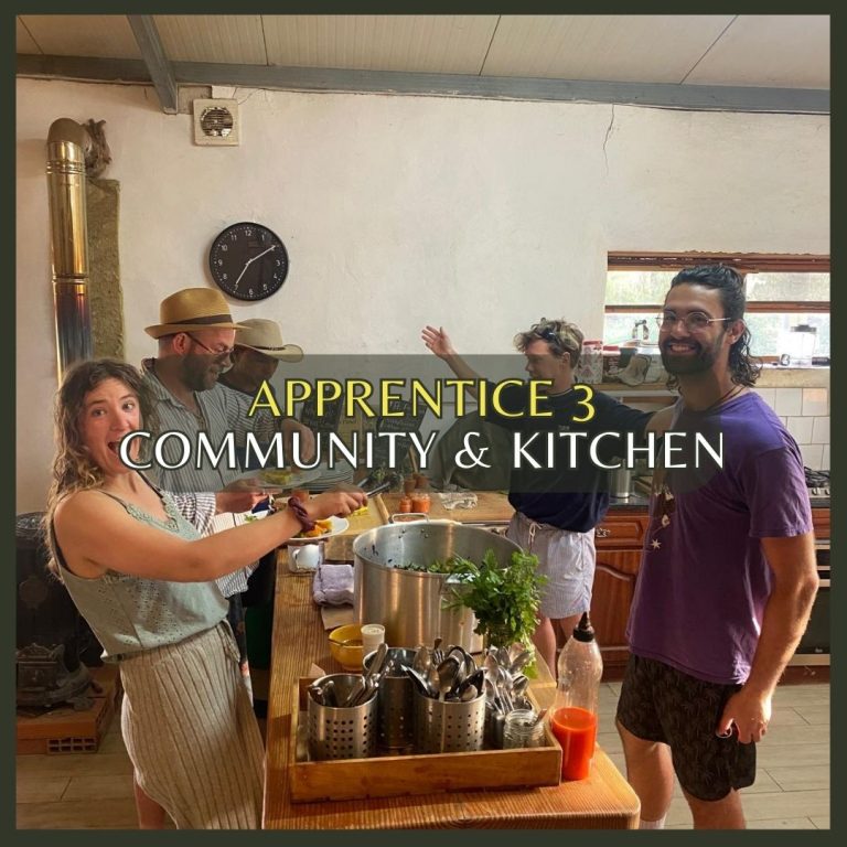 Community and Kitchen Apprentice