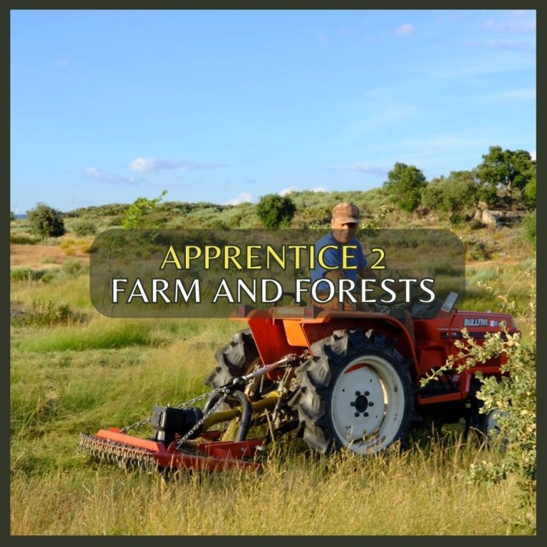 Farm and forest Apprentice