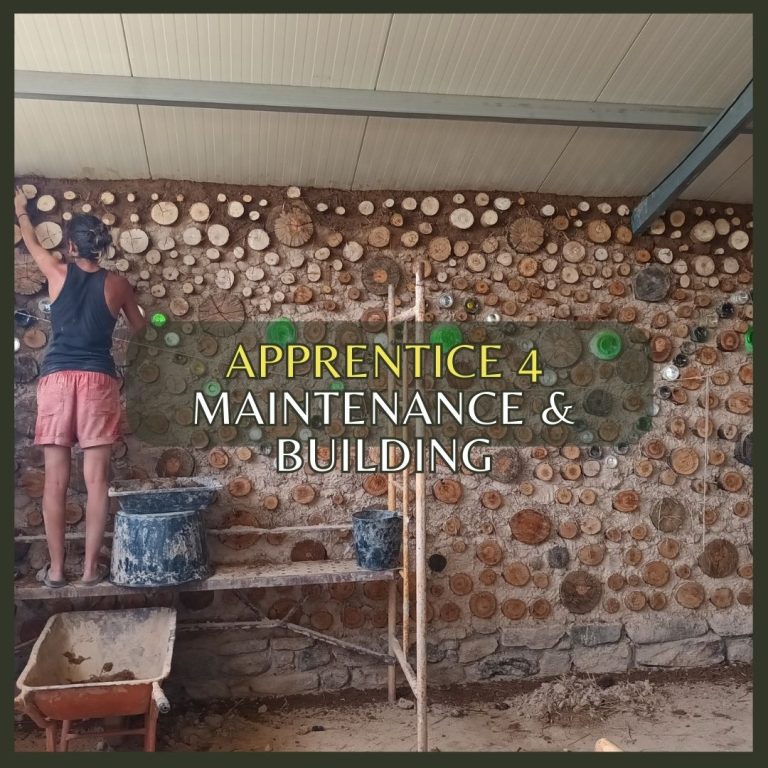 Maintenance and Building apprentice