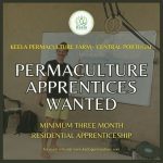 Permaculture Apprentices Wanted