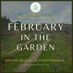 February in the Garden