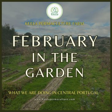 February in the Garden