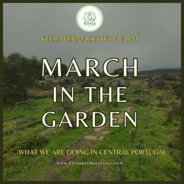 March in the Garden