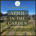 April in the Garden 1