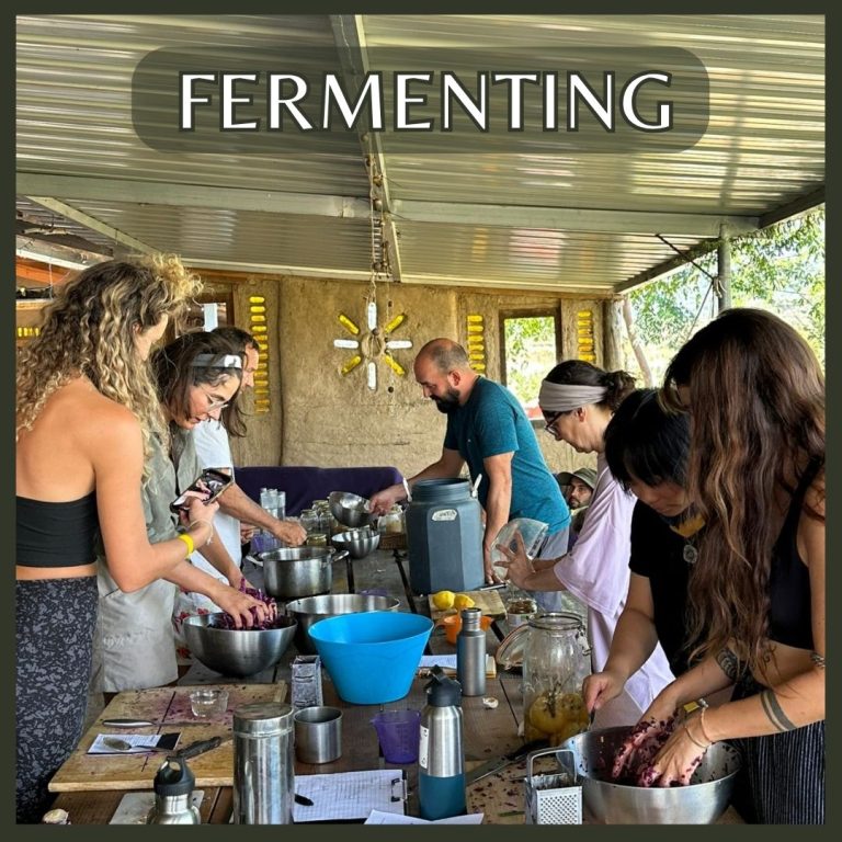 Everyone makes their own ferment — our way of preserving excess veg for the off-season. Each day you'll eat ferments made by the PDC group before you, then make a batch for the one after. A tasty kind of continuity.