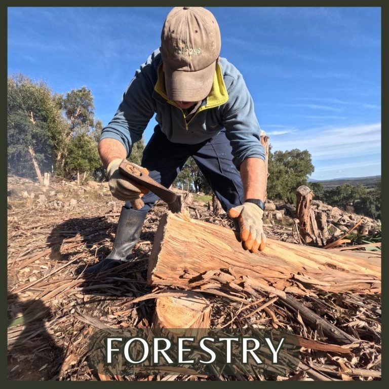 Walk through and work in three different forestry and reforestation systems, using a range of tools to maintain the forest. You'll harvest woodchips for garden mulch and biochar, firewood for the outdoor shower, and timber for natural building — all from the same trees you're helping care for.