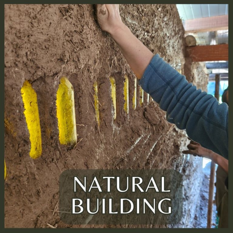 Study — and actually live in — natural buildings built by past guests. Then try a method yourself, whether that's dry stone walling or building with clay. The best kind of proof that it works.