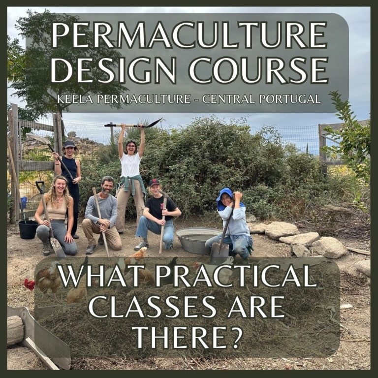 Every practical connects to the next: you make the compost that feeds the garden, grow the food you'll cook, harvest the firewood for your shower, chip wood for the agroforest, prune trees for reforestation, and cut timber for natural building. Nothing here is separate — it's all one system, and you're inside it.