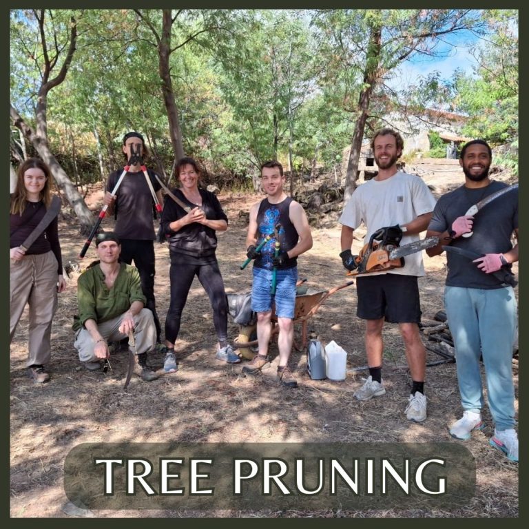 Permaculture Design Course Schedule Permaculture Design Course Schedule