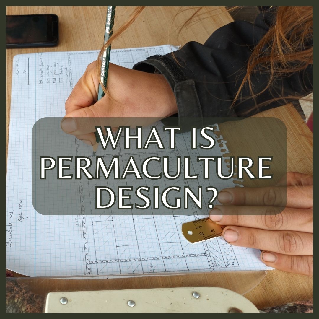 What is Permaculture Design