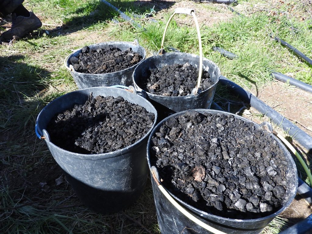 Biochar Portugal