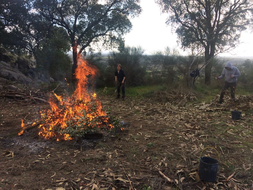 Biochar Portugal