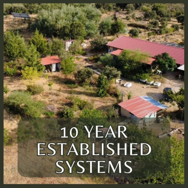 We have been planting various types of food forests on our land since 2016