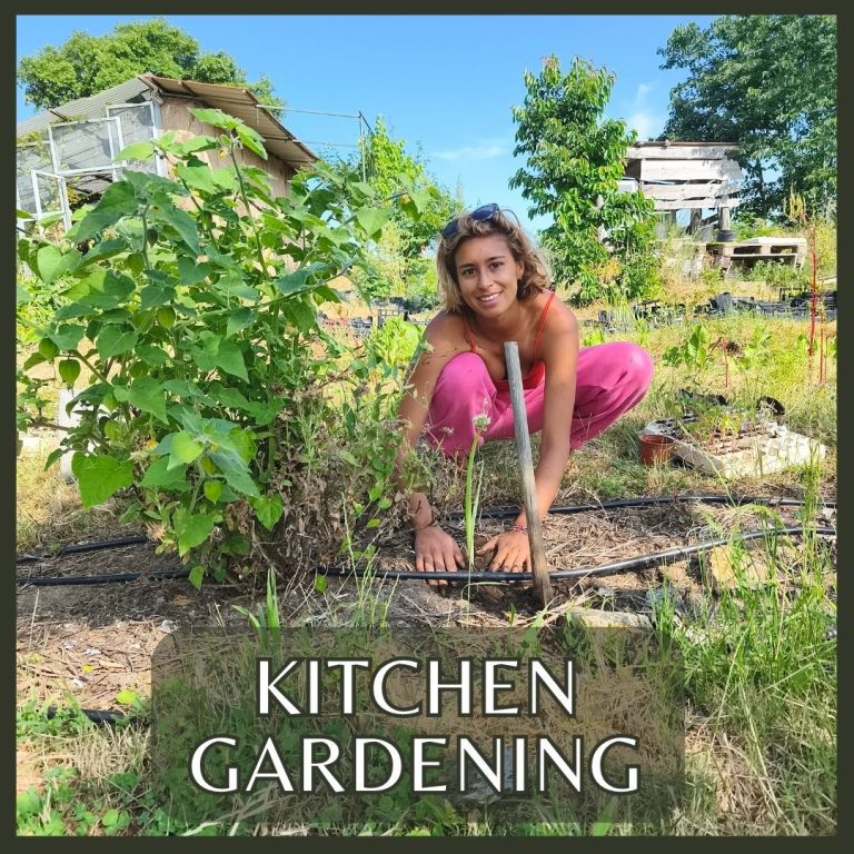 Learn how to grow a variety of vegetables