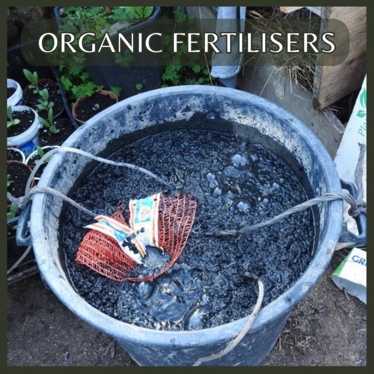 Learn how to make organic fertalisers